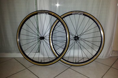 ZTR Alpha / Veloflex Master