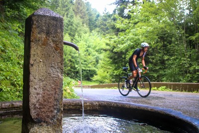 Chambérienne Bauges