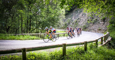 Chambérienne Chartreuse
