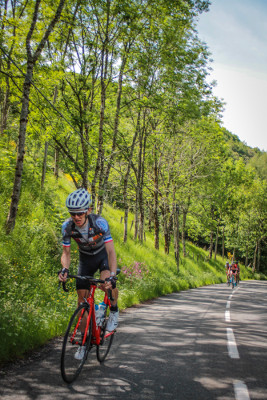 Granite Mont Lozère